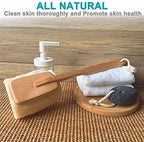 2 Pack Natural Exfoliating Loofah luffa loofa Bath Brush On a Stick - with Long Wooden Handle Back Brush for Men & Women - Shower Sponge Body Back Scrubber