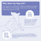 MiconaHex+Triz Shampoo for Dogs, Cats and Horses, 16 oz, Unscented