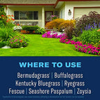 BioAdvanced Season Long Weed Killer Plus Preventer for Norther Lawns, Granules, 9.6 LB