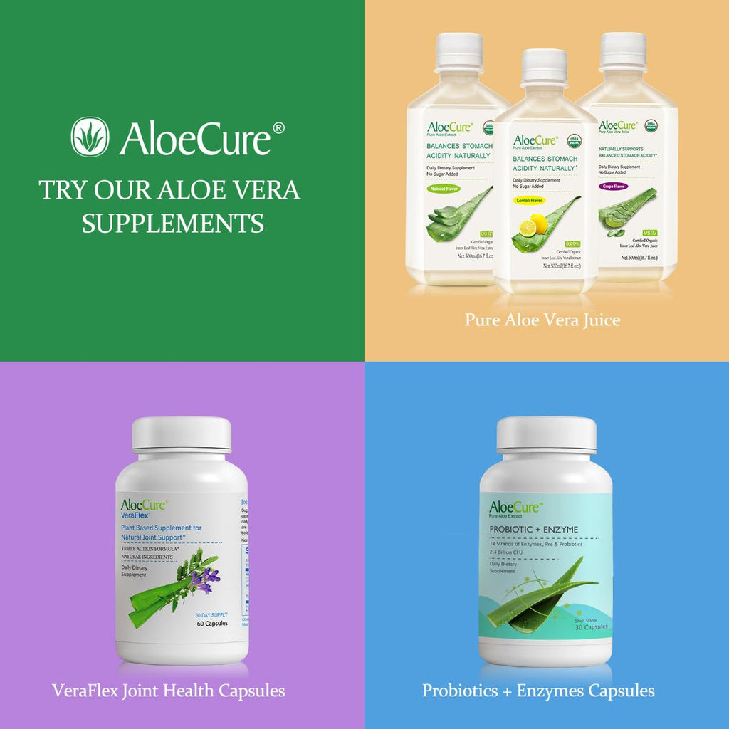 AloeCure USDA Organic Aloe Vera Juice Made Within 12 Hrs of Harvest - Pure Aloe Juice Natural Digestive Supplement to Support Digestion, Immune System and Balanced Stomach Acidity, 500ml Bottle
