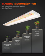 Spider Farmer SF600 LED Grow Light, 72 Watt Plant Growing Lamp for 2x4 ft