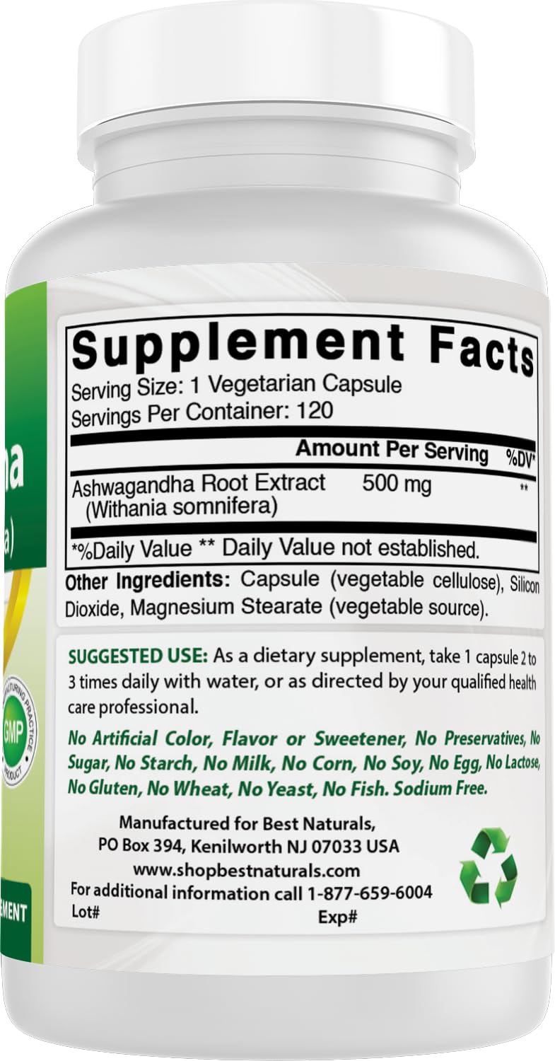 Best Naturals Ashwagandha Extract 500 Mg 120 Capsules (Pack of 2)