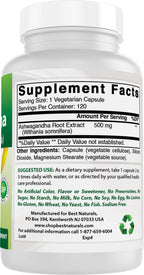 Best Naturals Ashwagandha Extract 500 Mg 120 Capsules (Pack of 2)