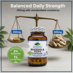 Pure Mountain Botanicals Rhodiola Rosea Supplement - 60 Capsules 250mg - Root Extract Standardized 3% Rosavins 1% Salidroside - Vegan Kosher Gluten Free