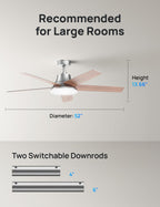 DREO Smart Ceiling Fan with Lights, 52 Inch, 12 Speeds & 3 Fan Modes, Stepless Color Tones, Dimmable LED Light, 12H Timer, Quiet DC Motor, Remote/APP/Alexa Control, Silver Ceiling Fans Indoor