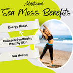 Advanced Bionetix Organic Irish Sea Moss Capsules, Raw Wildcrafted Seamoss Enhanced w/Bladderwrack & Burdock Root Capsules 240 Total Pills Antioxidant Packed. Prebiotic Superfood, Thyroid Support