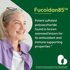 BESTVITE Fucoidan Extract 500mg (Standardized to 85% Fucoidan) (120 Vegetarian Capsules) No Fillers - No Stearates - No Flow Agents