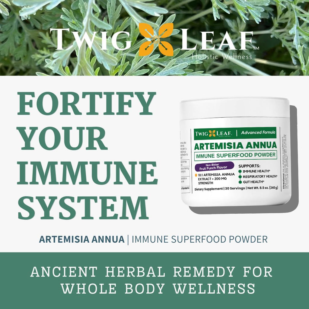 Artemisia Annua Sweet Wormwood Herbal Powder | Leaf Extract Brain Support | Artemisia Supplement | Sweet Wormwood Extract | Non-GMO, Vegan, Gluten-Free | 30 Servings/8.5 Oz (240g)