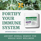 Artemisia Annua Sweet Wormwood Herbal Powder | Leaf Extract Brain Support | Artemisia Supplement | Sweet Wormwood Extract | Non-GMO, Vegan, Gluten-Free | 30 Servings/8.5 Oz (240g)