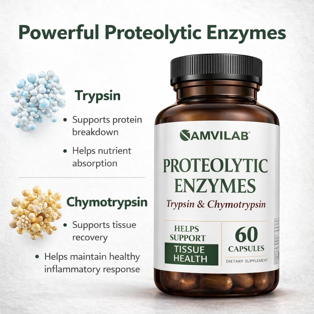 AMVILAB Proteolytic Enzymes | Trypsin & Chymotrypsin – Advanced Digestive Enzyme Supplement for Woman&Men - Digestive Enzymes for Protein Breakdown, Immune & Circulatory Health - 60 Capsules