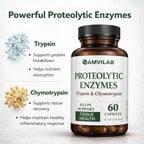 AMVILAB Proteolytic Enzymes | Trypsin & Chymotrypsin – Advanced Digestive Enzyme Supplement for Woman&Men - Digestive Enzymes for Protein Breakdown, Immune & Circulatory Health - 60 Capsules