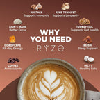 RYZE SUPERFOODS Mushroom Dark Roast Coffee Starter Kit, Instant Coffee with 6 Adaptogenic Mushrooms and Better Energy, Focus, Digestion, Immunity with Lions Mane & Turkey Tail 30 Serving Each
