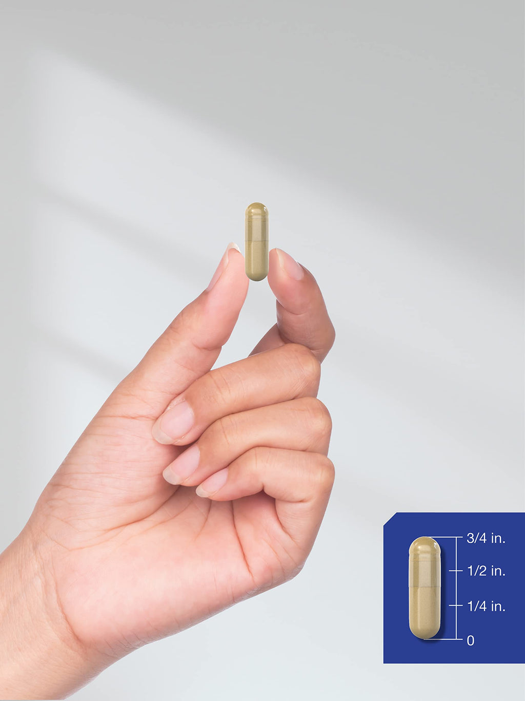 Horbäach Huperzine A 400mcg | 180 Capsules