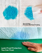 Honey Care All-Absorb, Small 17.5" x 23.5", 120 Count, Dog and Puppy Training Pads, Ultra Absorbent and Odor Eliminating, Leak-Proof 5-Layer Potty Training Pads with Quick-Dry Surface, Blue, A05