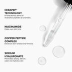 DRMTLGY Needle-less Serum - Anti-Aging Serum for Fine Lines & Wrinkles - Niacinamide with Potent Blend of Hyaluronic Acid, Peptides & Ceramides, 1 fl oz