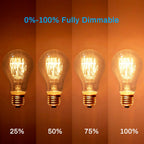 Warm Edison Light Bulbs, 60 Watt A19 Vintage Incandescent Light Bulbs, Dimmable Yellow Old Fashioned Amber Light Bulbs, 2100K Warm White, E26 Base, 6 Pack