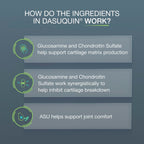 Nutramax Dasuquin MSM Joint Supplement for Large Dogs, Soft Chews, 150ct