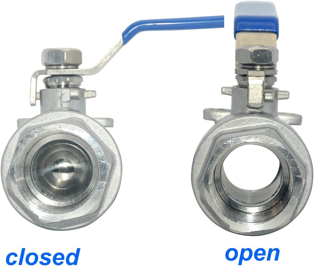 DAN SPEED 3" NPT Female 316 Stainless Steel Full Port Ball Valve Vinyl Handle WOG1000 (3 inch)