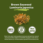 Vitapia Pure Fucoidan 85% Brown Seaweed Extract for Immune, Strong Cellular Health, Digestive Support - 1000mg Fucoidan Per Serving - 120 Veggie Capsules Non-GMO, Gluten-Free, Vegan-Friendly