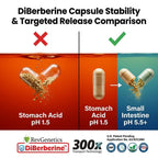 REVGENETICS Berberine Supplement 500mg, Dihydroberberine DHB Enteric Coated Capsules, Healthy Metabolism & AMPK Support, 6.7X Absorption, 1 Daily, Made in USA, 30 Ct, DiBerberine 300x