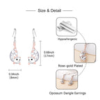 Opossum Dangle Earrings for Women - Silver Animal Earring Possum Gifts