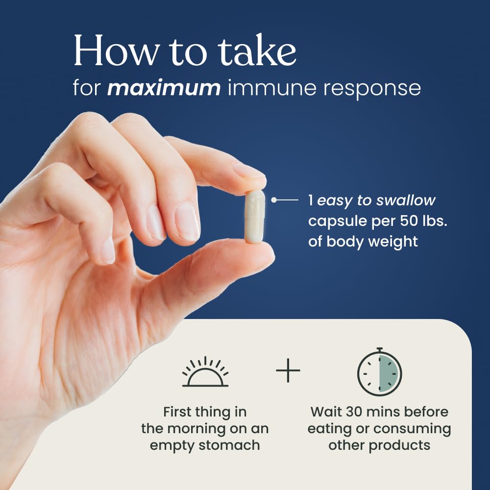 Better Way Health™ - Advanced Immune Readiness - Highly Purified 1,3/1,6 Beta Glucan 500 - Clinically Tested Immune Defense - 500mg/60 Capsules (Pack of 2)