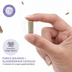 BocaHeal Purple Sea Moss + Bladderwrack Capsules | 2202mg Complete Nutrient Profile - Wildcrafted & Wildharvested Seaweed Blend for Daily Wellness – 60 Seamoss Pills & Sea Moss Capsules | Made in USA