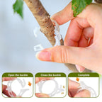 Secured Plastic Plant Clip, 2025 Upgrade Plant Support Clips Reusable Garden Clips, Garden Clips for Climbing Plants, Plastic Trellis Clips Tomato Grape Vine Vegetables Plant Fixing Clips (50, Green)