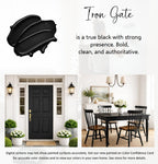 ALL-IN-ONE Paint by Heirloom Traditions, Iron Gate (Black), 8oz Sample - Durable cabinet and furniture paint. Built in primer and top coat, no sanding needed. Includes our 30 featured color card.