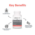 ARG Berberine 500 - 500 mg Berberine HCl - Metabolic & Blood Glucose Support - AMPK Activation Formula - Non-GMO Botanical Extract - 90 Servings - 90 Capsules
