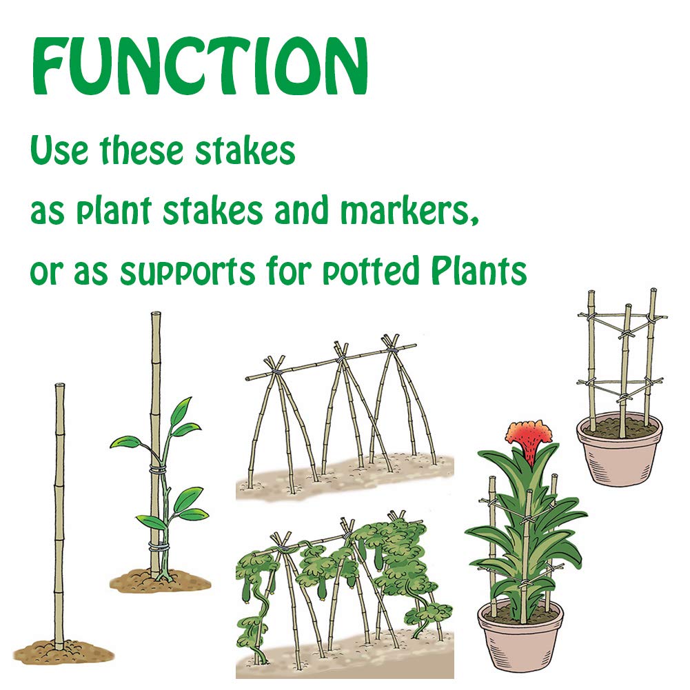 Mininfa Natural Bamboo Stakes 6 Feet, Eco-Friendly Garden Stakes, Plant Stakes Supports Climbing for Tomatoes, Trees, Beans, 20 Pack