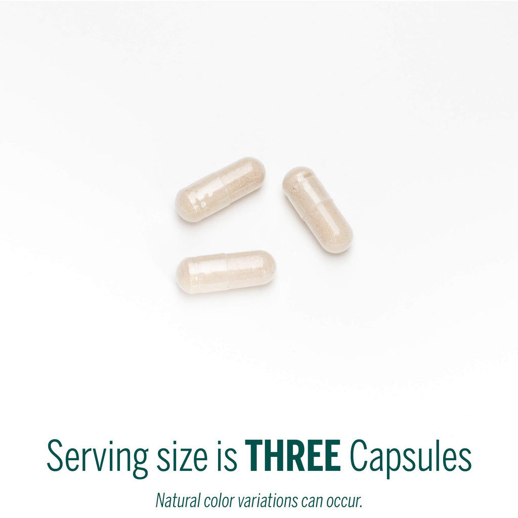 Genestra Brands Ichol Plus | Digestive Supplement | 90 Capsules
