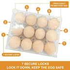 100 Pack 12 Count Plastic Egg Cartons – Bulk Cheap Clear Reusable | Egg Cartons Bulk, Egg Holder for Fridge, Egg Organizer for Refrigerator, Egg Storage for Refrigerator.