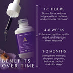 Apothékary Mindcraft, Supports Focus, Cognition, Longevity, and Anti-Aging, Fast-Acting Herbal Liquid Drops with Lion’s Mane and Cordyceps, Certified Organic, Made in USA, 1 fl oz, 30 Servings