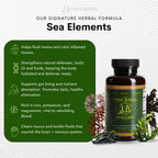 Upful Blends® Sea Elements | Ultimate Sea Veggie Multivitamin | Irish Moss, Kelp, Wakame, Dulse | Supports Skin, Gut Health, and Brain Function | Natural, Vegan, Non-GMO (80 ct)