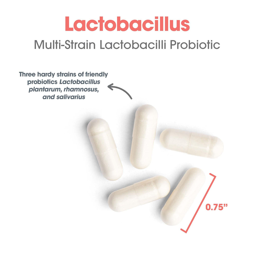 Allergy Research Group ARG Lactobacillus - Multi-Strain Probiotic Capsule - Gut & Digestive Health Support - Dairy Free, Gluten Free - 100 Servings - 100 Capsules