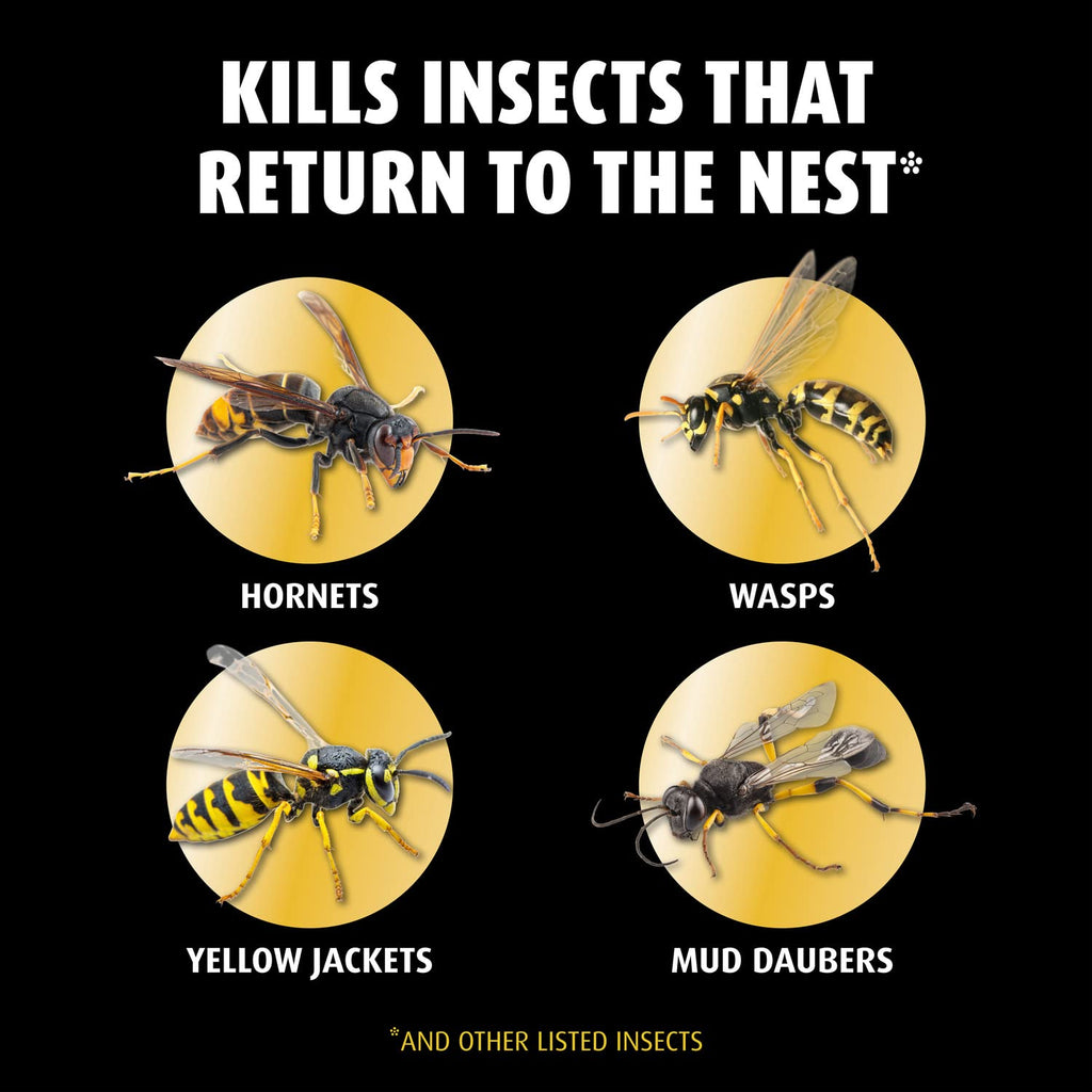 Ortho Home Defense Hornet & Wasp Killer7 16 oz., 3-Pack
