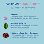 JerlyMush Zeolite Detox for Kids - 3-in-1 Formula Zeolite Drops, Vitamin D & B12, Gentle Daily Support, Natural Mixed Berry Flavor 30mL/1 Fl Oz, Sugar-Free, Gluten-Free
