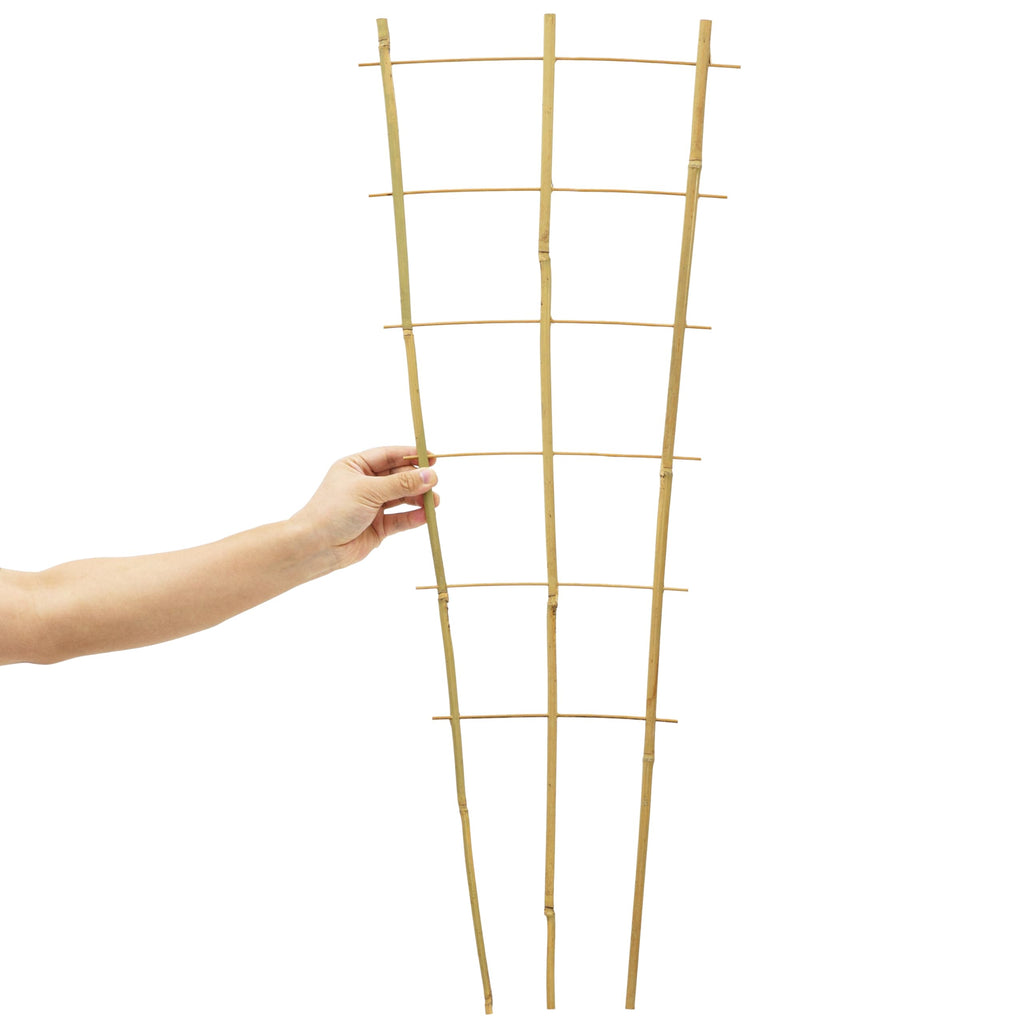 Taoskai 10 Pack 3 Feet Natural Bamboo Trellis, Fan-Shaped Bamboo Plant Trellis for Climbing Plants, Vegetables, Cucumber, Tomato, Outdoor and Indoor Potted Plants