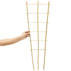 Taoskai 10 Pack 3 Feet Natural Bamboo Trellis, Fan-Shaped Bamboo Plant Trellis for Climbing Plants, Vegetables, Cucumber, Tomato, Outdoor and Indoor Potted Plants