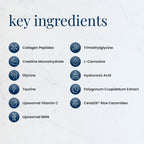 Renue Blue Skin Essentials Chocolate Drink Mix | Collagen Peptides Creatine & Protein Powder | Collagen (12g) Creatine (5g) Protein (15g) per Serving | Skin Hydration & Elasticity Support | 15 Sachets