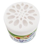 Bright Air Solid Air Freshener and Odor Eliminator, White Peach and Citrus, 14 Ounces