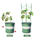 Alliico Plant Support Cages for Climbing Plant Upgrade Flower Tomato cage with Stand Stakes and Stable Support Rings, 3 Pack with 12 Clips (36")