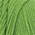 Red Heart Super Saver Spring Green E300-672 (3-Skeins - Same Dye Lot) Worsted Medium #4 Acrylic Yarn for Crocheting and Knitting with Project Bag