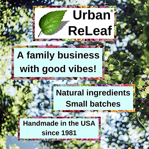 Urban ReLeaf PIERCING RELIEF Sea Salt Concentrate AFTERCARE ! Safely Clean, Soothe & Gently Calm New Irritated & Keloid Bump Piercings. Effective NON-iodized Dead Sea Salt, Tea Tree Rosemary