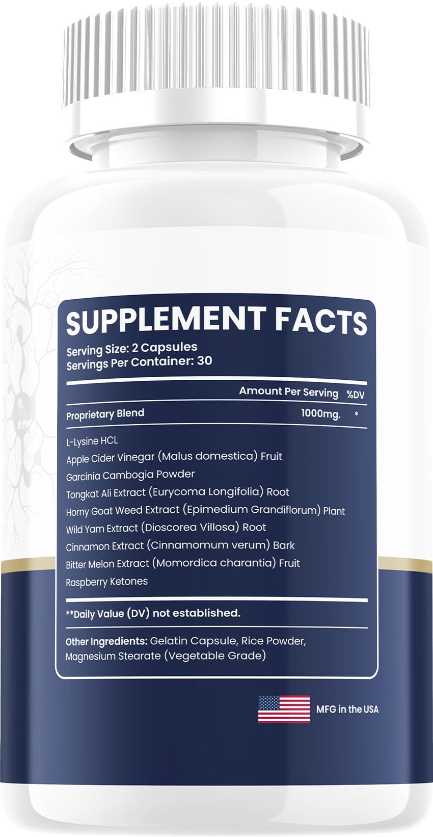 Memopryl Advanced Formula Supplement, Memo Pryl Brain Pills Natural Ingredients Reviews - 5 Pack - 300 Capsules