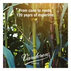 Vandoren CR103 Bb Clarinet Traditional Reeds Strength 3; Box of 10