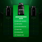 Enhanced Labs - Arachidonic Acid Supplement - Muscle and Strength Supplement for Increased Muscle Mass & Improved Recovery for Men & Women - One Capsule Contains 350mg Arachidonic Acid (120 Capsules)