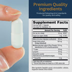 Zenith Labs Vision 20 Eye Vitamins - Lutein, Zeaxanthin, and Bilberry Extract - Supports Eye Strain, and Eye Health - Carotenoid Blend