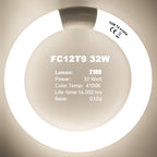 Celiwace FC8T9/CW 22W and FC12T9/CW 32W Cool White Set, 8 inch T9 22 Watts Circular Light Bulbs, 12 inch 32 Watts Circline Fluorescent Bulb Round Ring Bulb CRI 80, G10q Prong